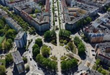 aerial view of tree lined szczecin boulevard