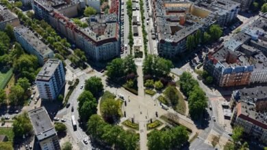 aerial view of tree lined szczecin boulevard