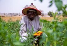 smiling nigerian farmer with fresh tomatoes