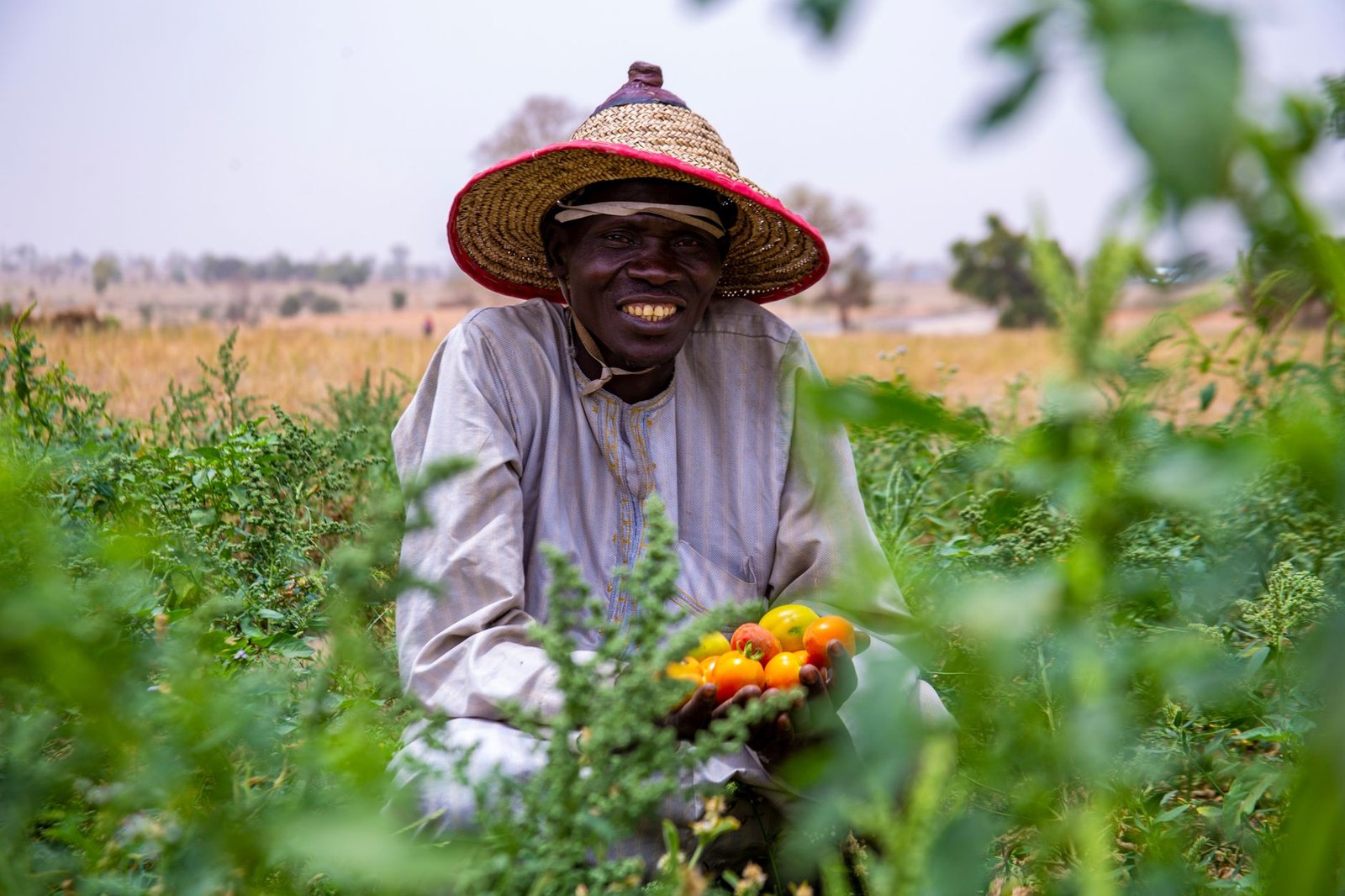 smiling nigerian farmer with fresh tomatoes