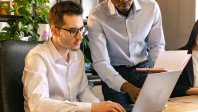 men working in a team in an office with potted plants