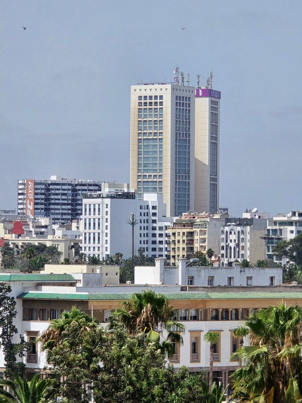 panoramic view of casablanca s tallest buildings