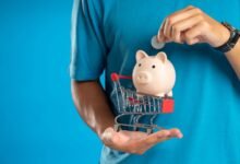photo of a person with a piggy bank and a shopping cart