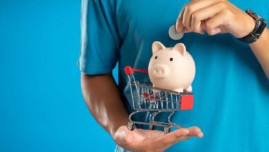 photo of a person with a piggy bank and a shopping cart