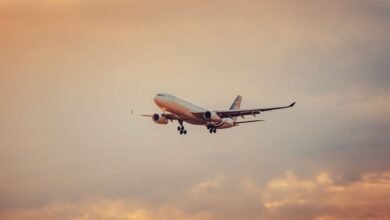 airplane in flight during sunset at schwechat
