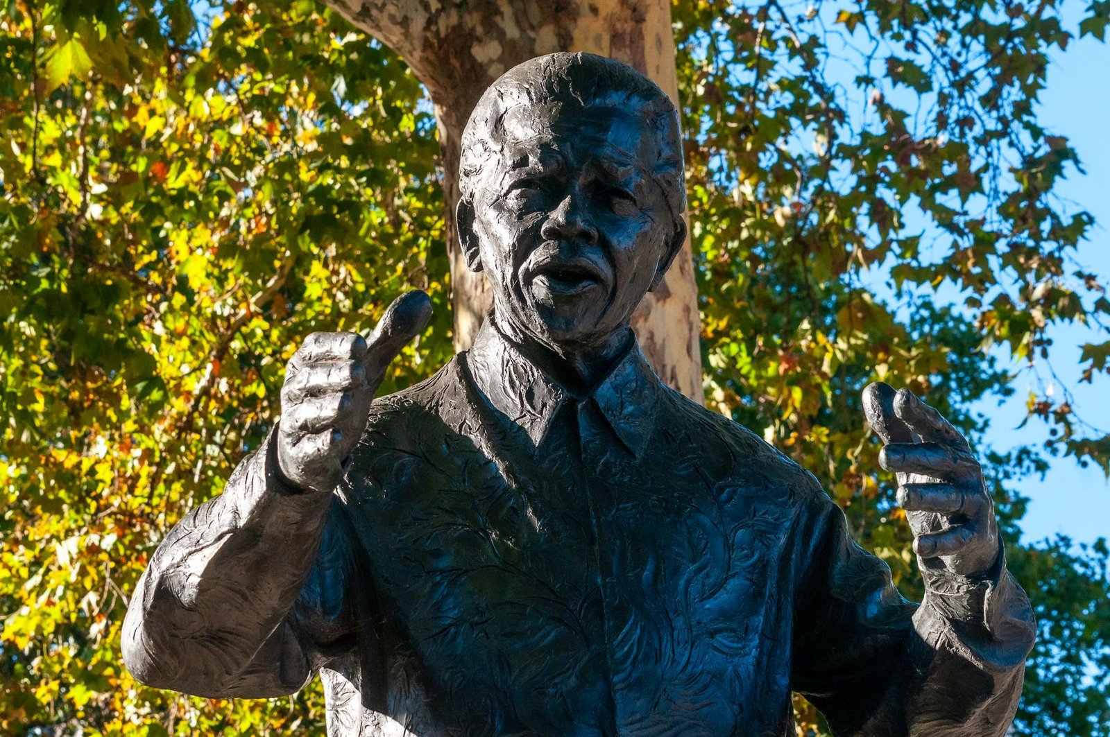 bronze statue of a historic figure in park setting