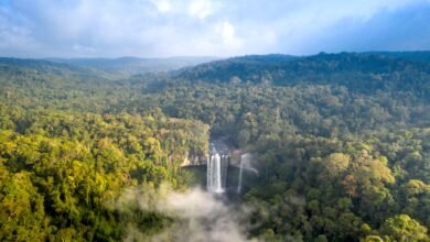 aerial photography of waterfalls surrounded by green trees in the forest