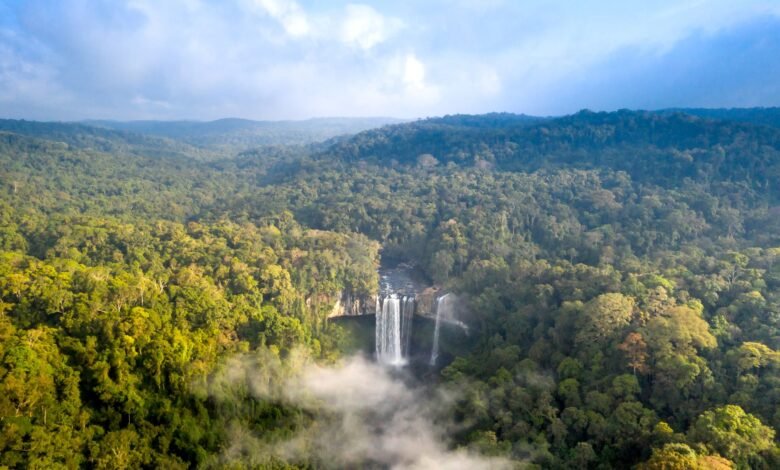aerial photography of waterfalls surrounded by green trees in the forest