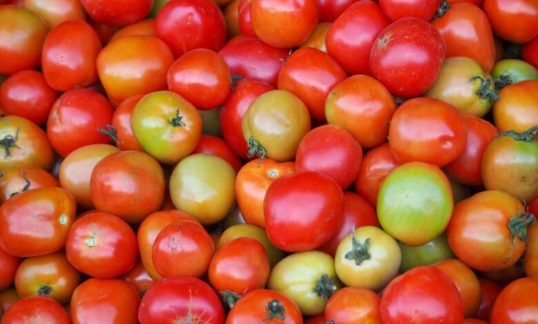 close up of apples