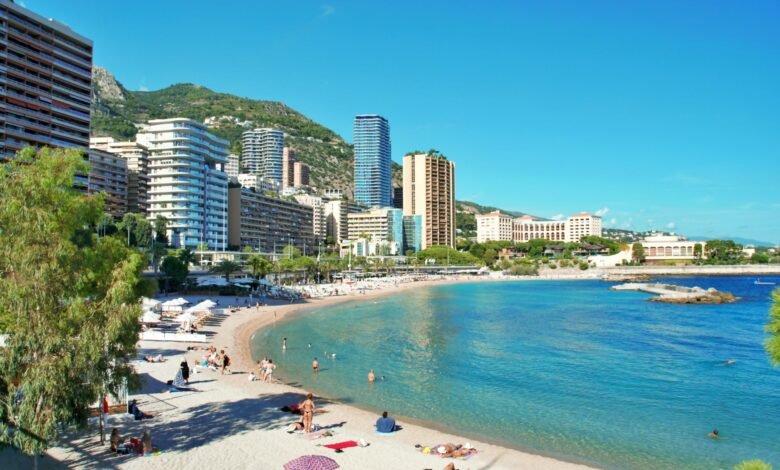 sunny beachfront with monaco skyline