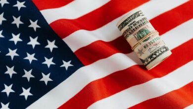 american flag with rolled dollar bills