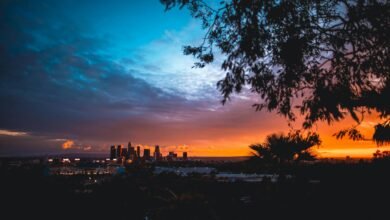cityscape during golden hour