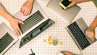 photo of people using laptop