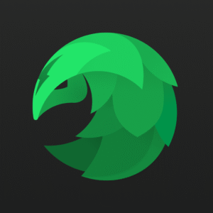 SafeShellVPN