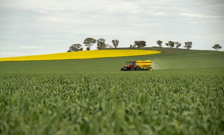 tractor with spreader on canola field