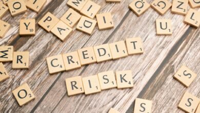 credit risk management
