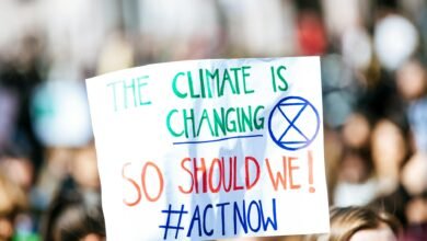 climate people street crowd