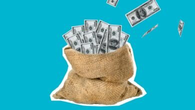 bag of dollars against blue background