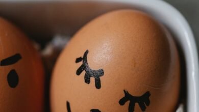 brown chicken eggs with painted faces
