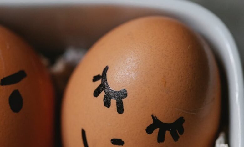 brown chicken eggs with painted faces