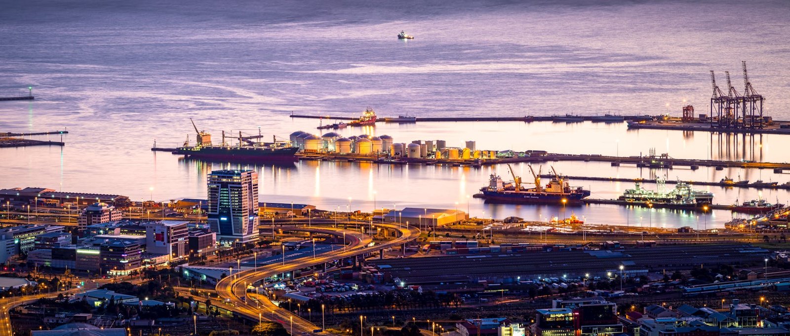 bird s eye view photography of city