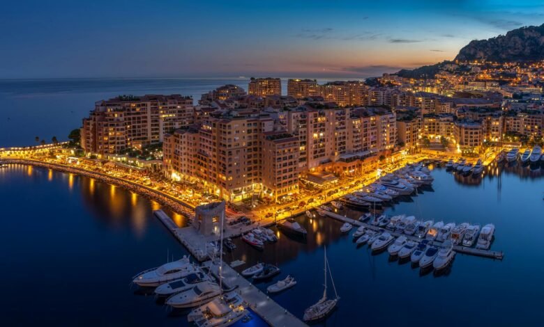 aerial view of buildings beside ocean
