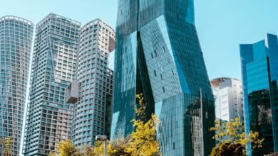 modern skyscrapers and park in sunny cityscape