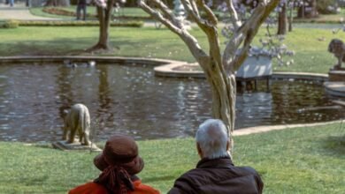 unrecognizable elderly couple on bench near pond